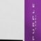 Purple Box incense sticks (10 pcks)